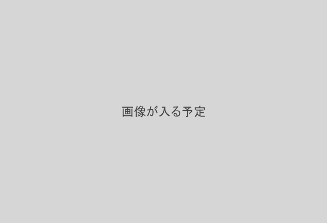 img_none